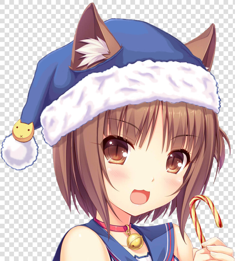 Transparent Nekopara Vanilla Png   Азуки Некопара  Png DownloadTransparent PNG