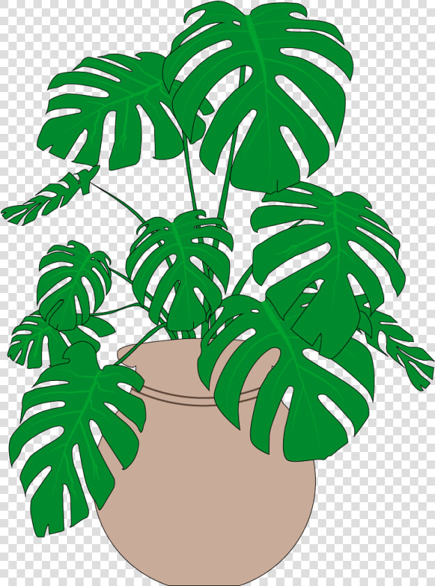 Mush A Ring Dum A Do Dum A Da wack Fall The Daddy O    Monstera Plants  HD Png DownloadTransparent PNG