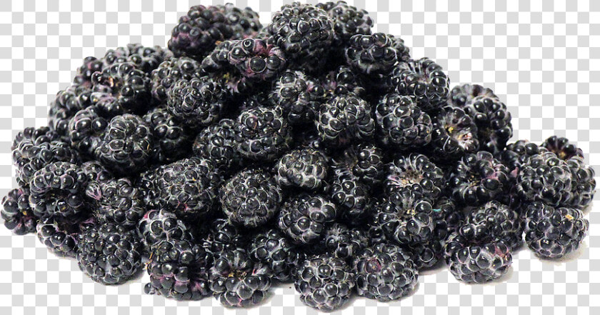 Black Raspberries Png Transparent Image   Black Raspberries Vs Mulberries  Png DownloadTransparent PNG