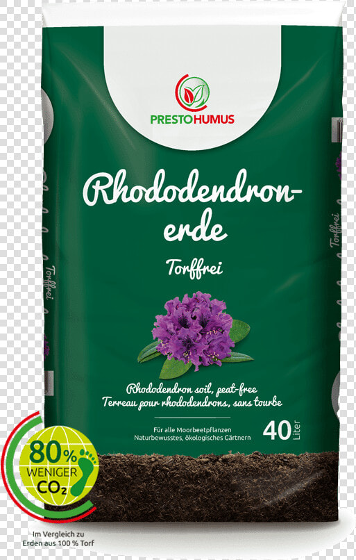 Verbena  HD Png DownloadTransparent PNG