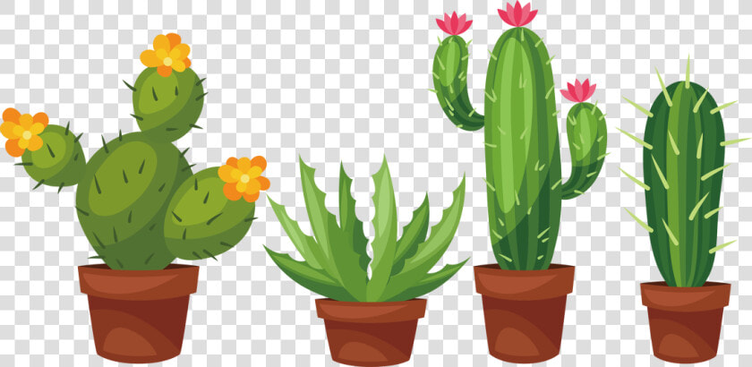 Cactus Succulent Plant Cactaceae Prickly Pear Clip   Cactus Drawing With Flower  HD Png DownloadTransparent PNG