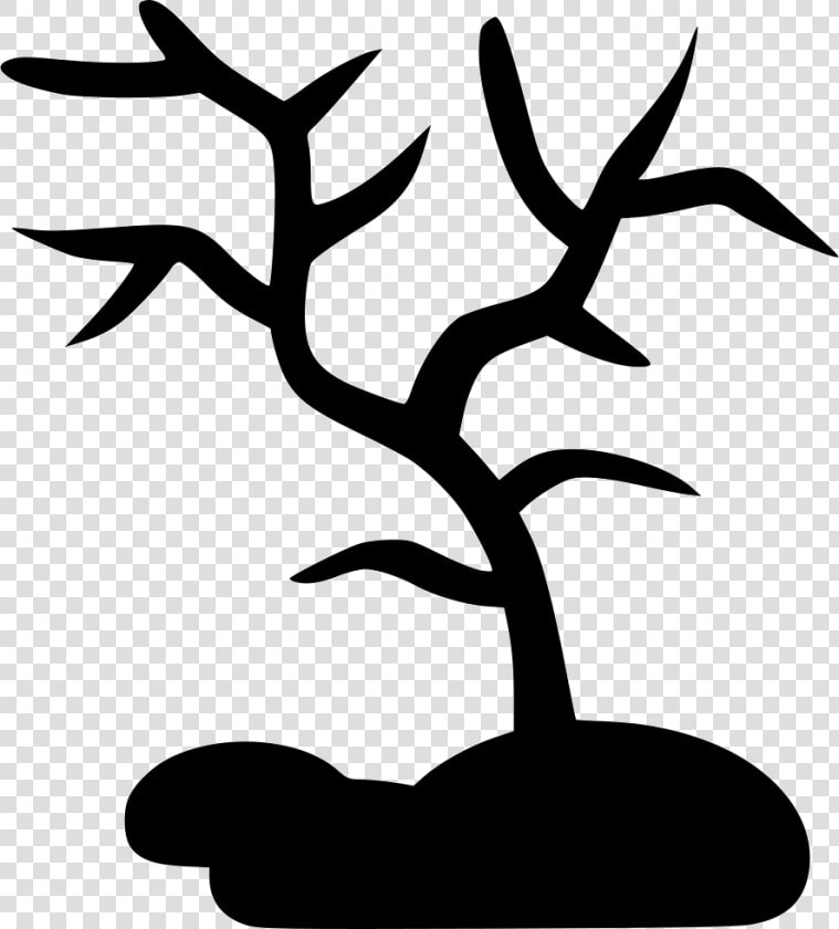 Corals   Scalable Vector Graphics  HD Png DownloadTransparent PNG