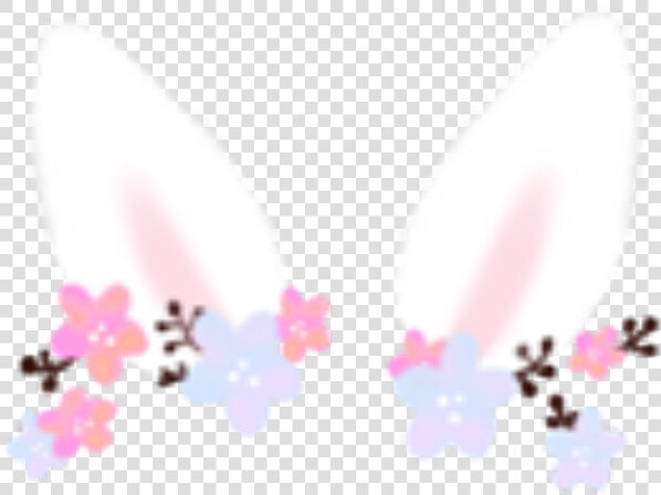  rabbit  cute  animal  pink  flower  ears  freetoedit   Orchid  HD Png DownloadTransparent PNG