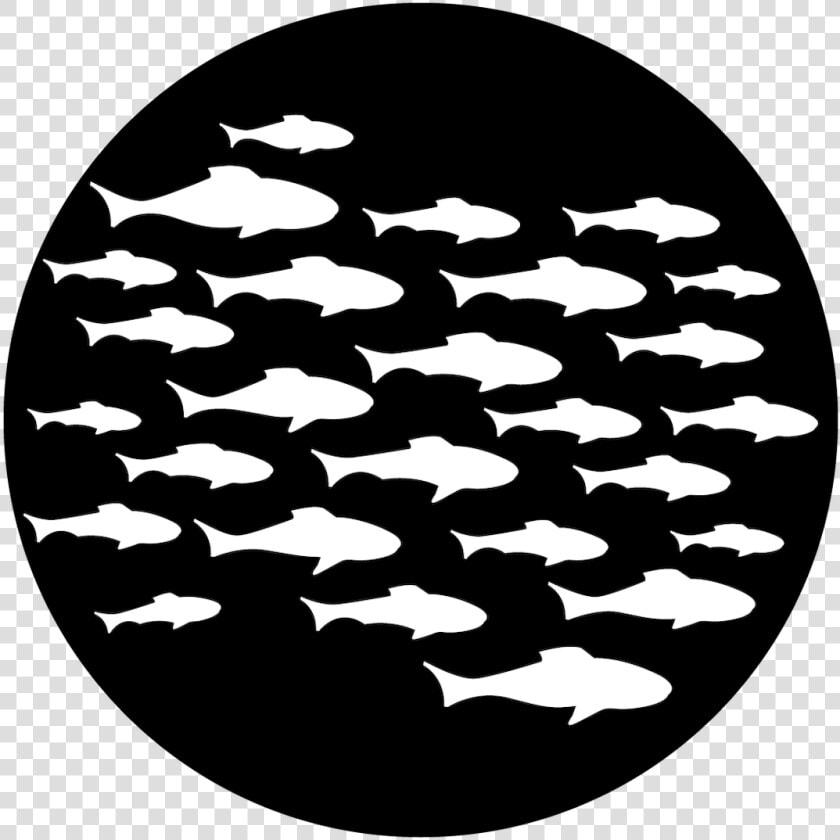 Apollo Sea School Of Fish Gobo Data large Image   cdn   Under The Sea Gobo  HD Png DownloadTransparent PNG