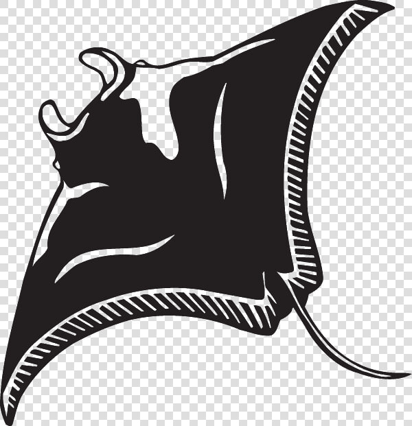 Clip Art Manta Ray Illustration  HD Png DownloadTransparent PNG