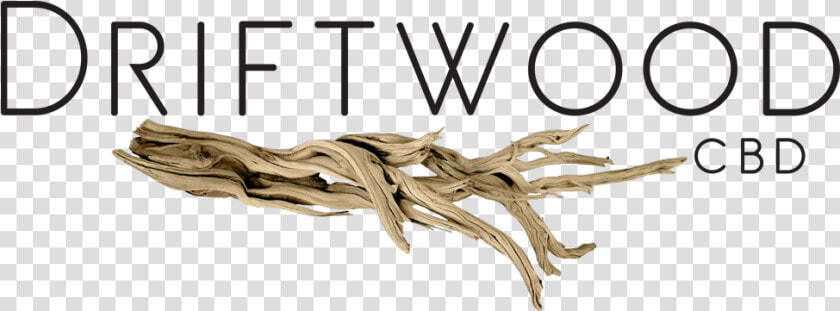 Driftwood  HD Png DownloadTransparent PNG