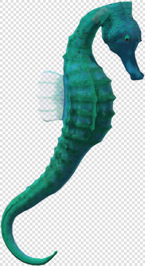 Seahorse Png Free Image Download   Sea Horse Without Background  Transparent PngTransparent PNG