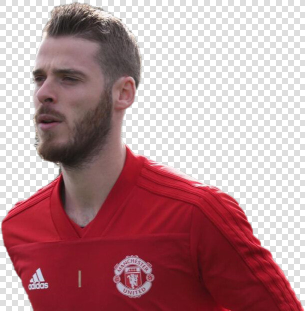 David De Gea Free Png Image   Eric Cantona Manchester United  Transparent PngTransparent PNG