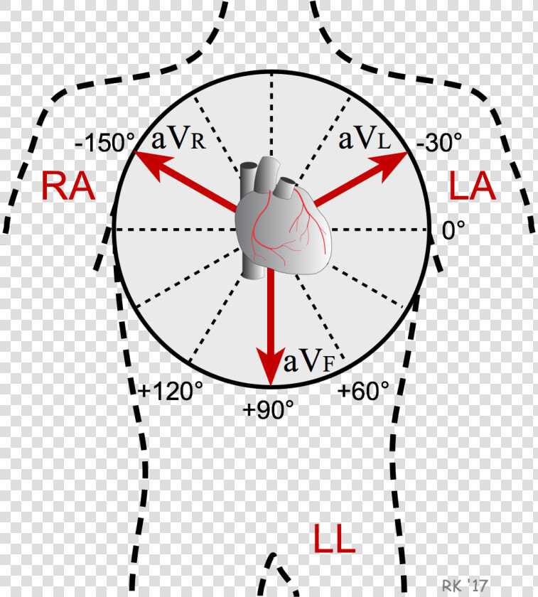 Ecg Augmented Lead Axis   Ecg Leads  HD Png DownloadTransparent PNG