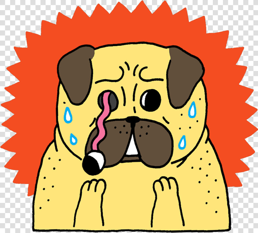 Pug Dance Gif   Pugs Eyes Falling Out  HD Png DownloadTransparent PNG