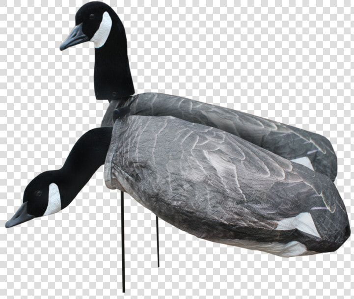 Transparent Duck Silhouette Png   Silhouette Goose Decoys  Png DownloadTransparent PNG