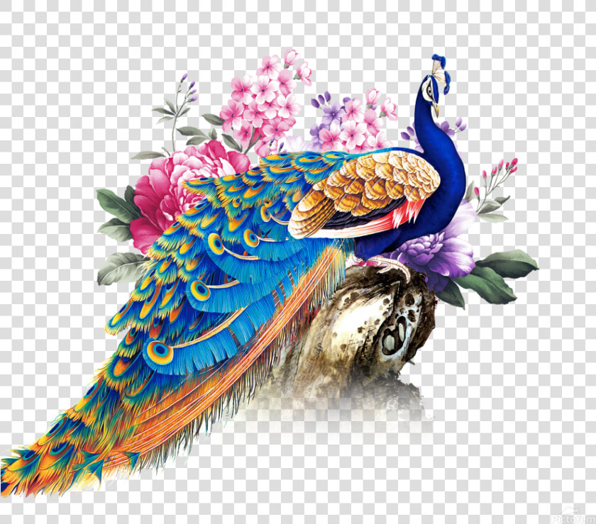 China Wind Peacock Print   Peacock Png  Transparent PngTransparent PNG