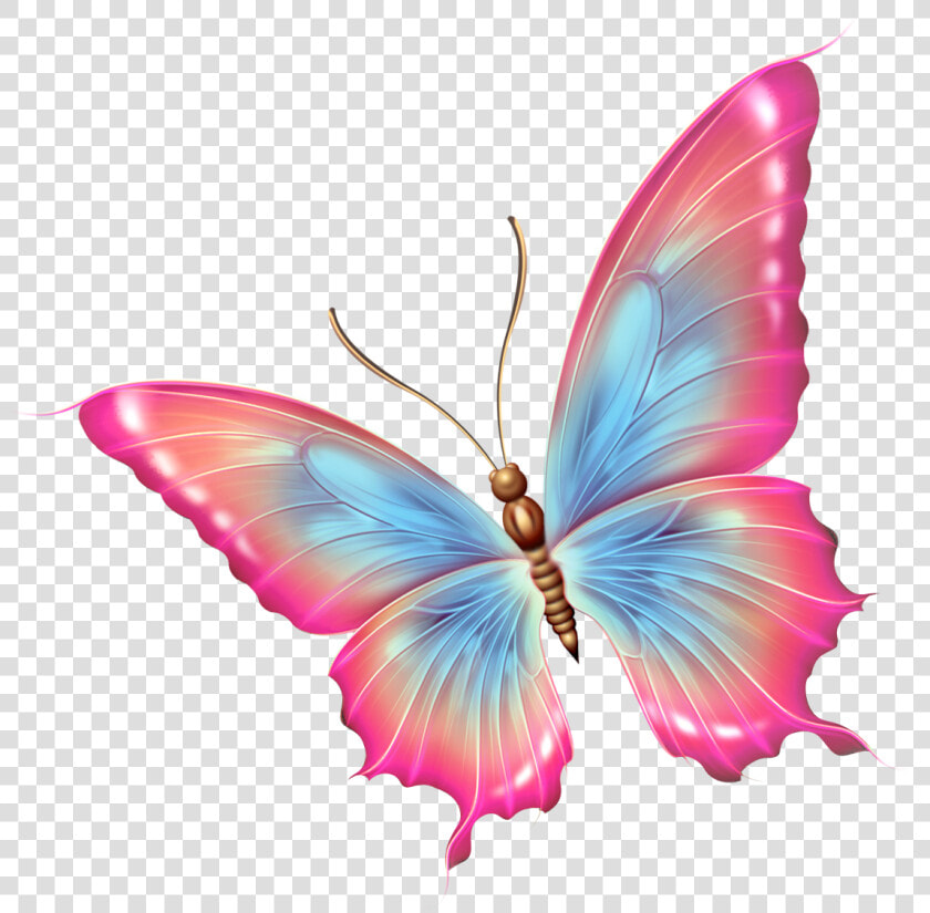 Фото  Автор Ya   Pink And Blue Butterfly Png  Transparent PngTransparent PNG