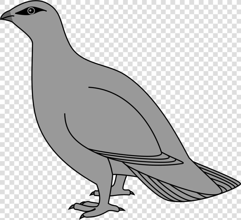 Wikimedia Commons Heraldry Birds   Png Download   Pigeons And Doves  Transparent PngTransparent PNG