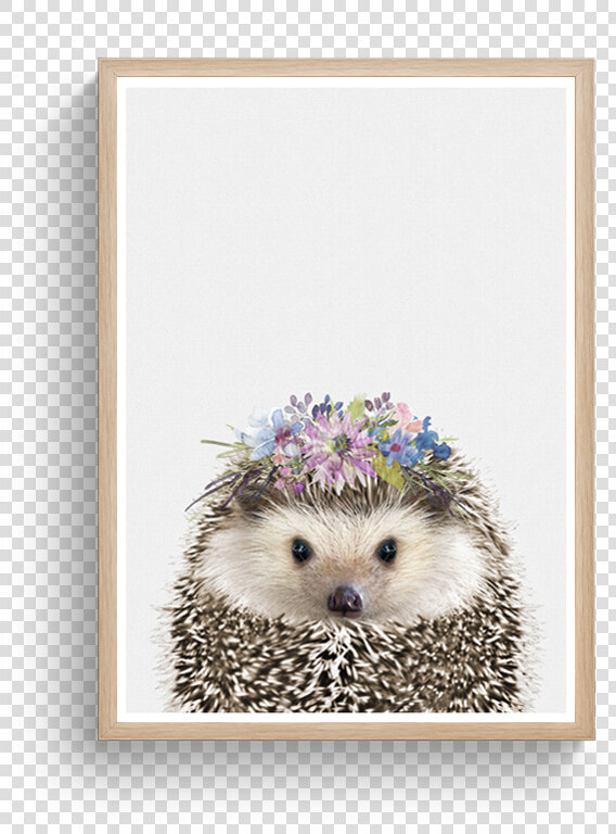 Hedgehog Floral 2 Class Lazyload Lazyload Fade In   Domesticated Hedgehog  HD Png DownloadTransparent PNG