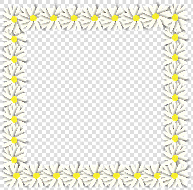 Spring  Daisy  Flower  Flora  Fauna  Border  Frame   Picture Frame  HD Png DownloadTransparent PNG