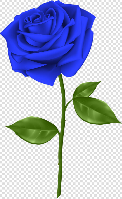 Svg Blue Rose Clipart   Single Blue Rose Flower  HD Png DownloadTransparent PNG