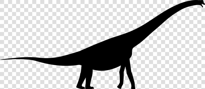 Brachiosaurus Silhouette  HD Png DownloadTransparent PNG