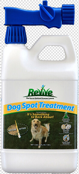 Revive Dog Spot Treatment   Pembroke Welsh Corgi  HD Png DownloadTransparent PNG