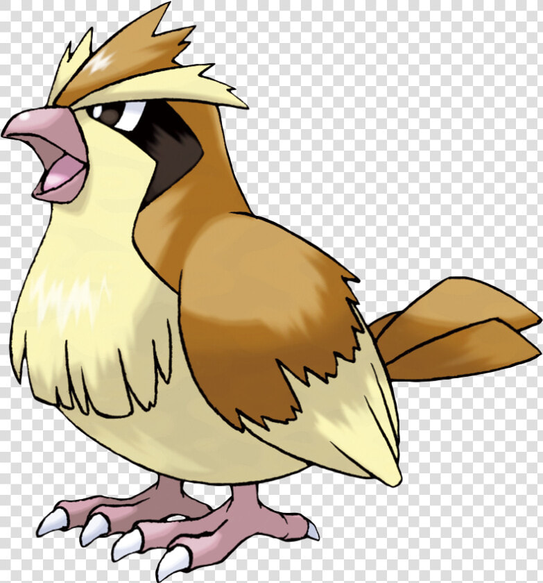 Pokemon Pidgey  HD Png DownloadTransparent PNG