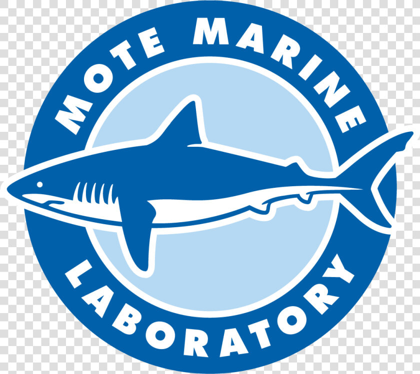 Mote Marine Laboratory  amp  Aquarium  HD Png DownloadTransparent PNG