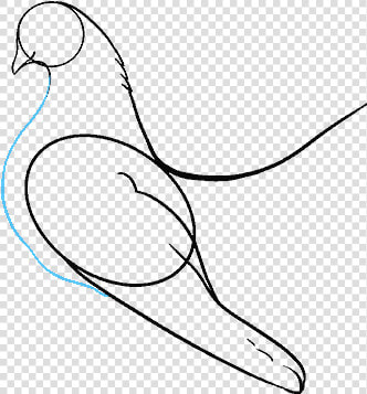 How To Draw A Dove In A Few Easy Steps Easy Drawing   Sketch  HD Png DownloadTransparent PNG