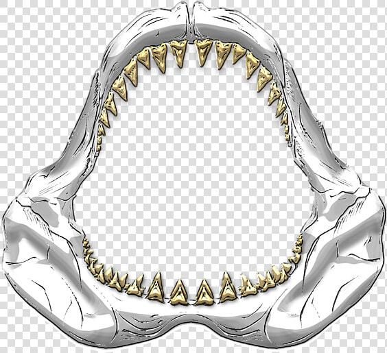 Great White Shark Jaws Drawing  HD Png DownloadTransparent PNG