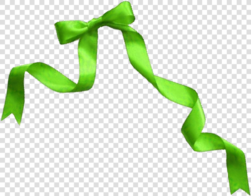 Green Ribbon Bow Png Download   Transparent Background Green Ribbon Png  Png DownloadTransparent PNG