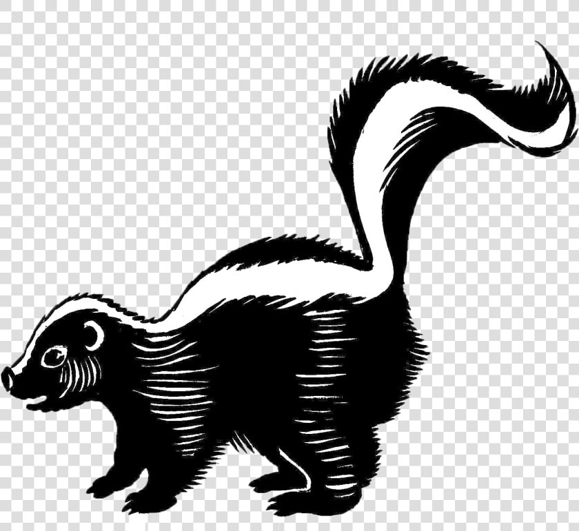 Skunk Png Background   Skunk Black And White  Transparent PngTransparent PNG