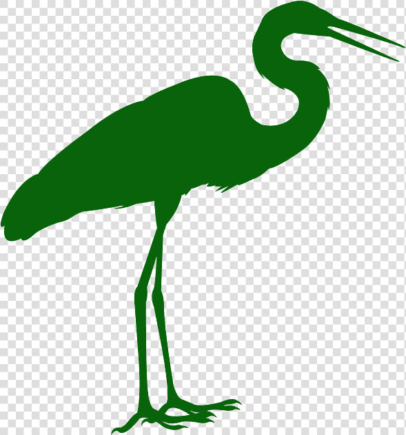 Great Blue Heron  HD Png DownloadTransparent PNG