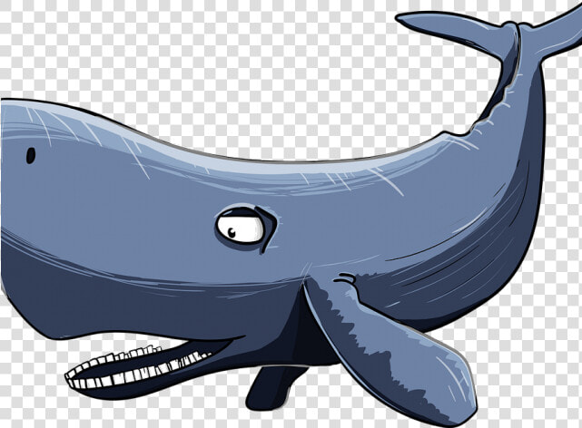 Sperm Whale Clipart Watercolor   Sperm Whale Clipart Hd  HD Png DownloadTransparent PNG