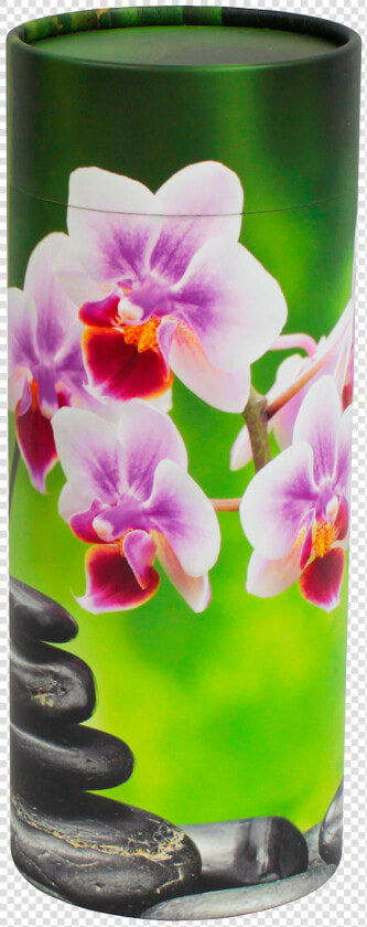 Purple Orchid Flower With Bamboo Stone   Png Download   Orchids  Transparent PngTransparent PNG