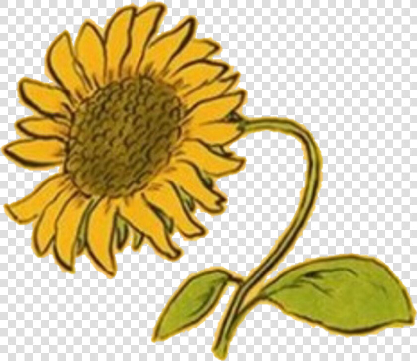 Aesthetic Clipart Random   Yellow Flower Png Aesthetic  Transparent PngTransparent PNG