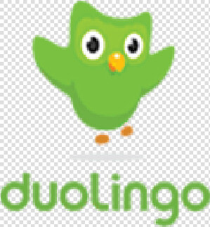 Artboard 14   Duolingo  HD Png DownloadTransparent PNG