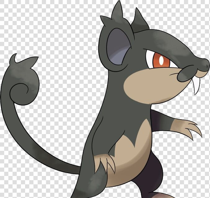 Alolanrattataother1   Pokemon That Looks Like A Rat  HD Png DownloadTransparent PNG