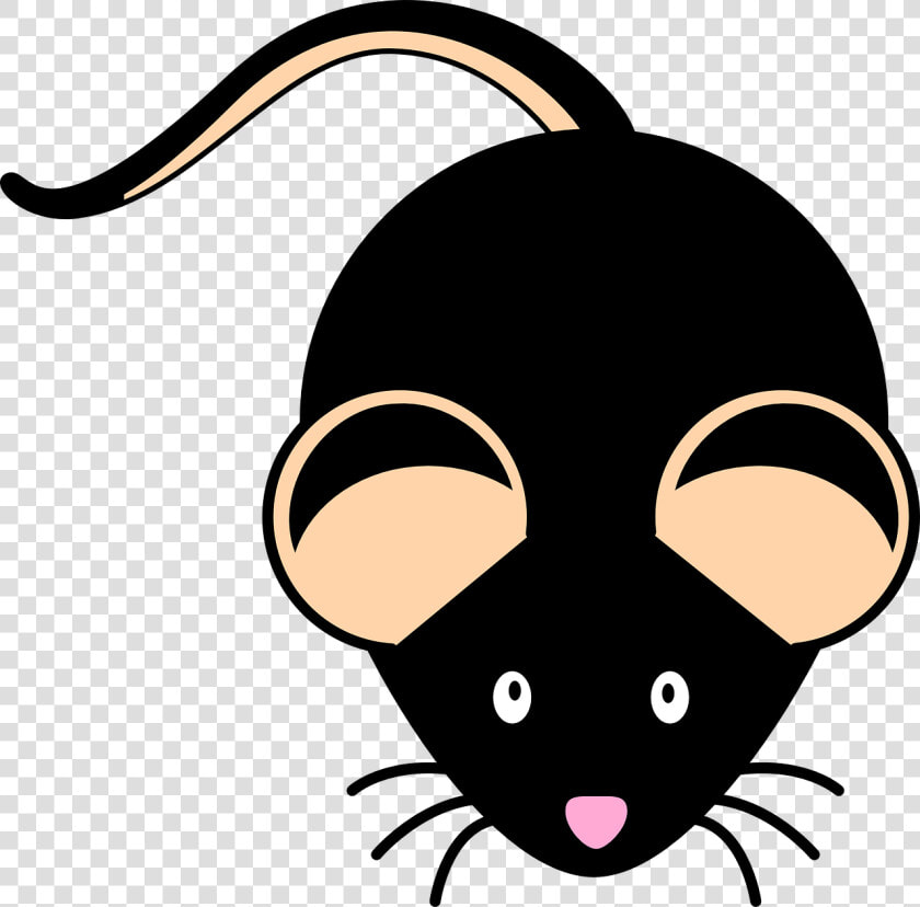 Mouse  Black  Mice  Animal  Rodent   Black Mouse Clipart  HD Png DownloadTransparent PNG