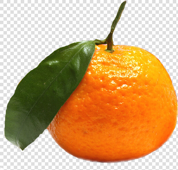 Imagens De Frutas Png  Transparent PngTransparent PNG