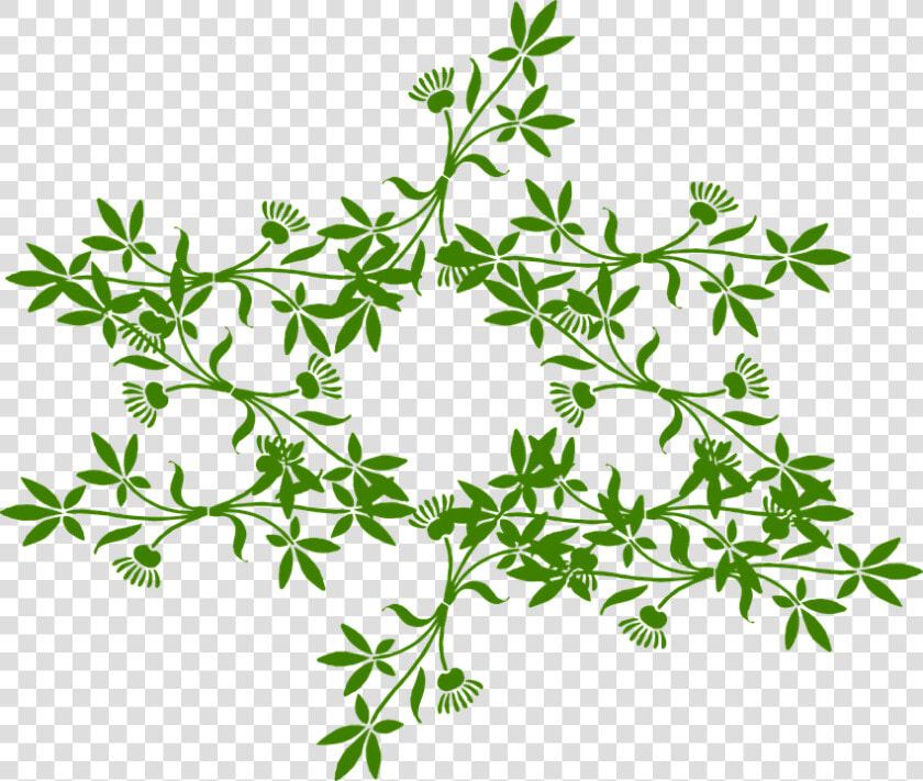 Floral  Ornament  Star  Green  Leaves  Blossoms   Ayurvedic Book In Hindi  HD Png DownloadTransparent PNG