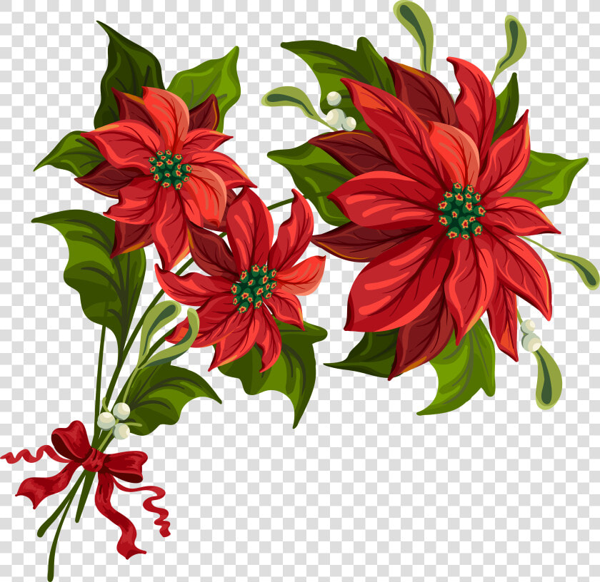 Transparent Christmas Png Poinsettia Clipart   Flower Related To Christmas  Png DownloadTransparent PNG