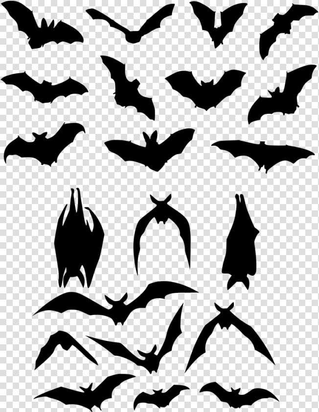 Bat Flight Silhouette Logo   Bats Silhouette Clip Art  HD Png DownloadTransparent PNG