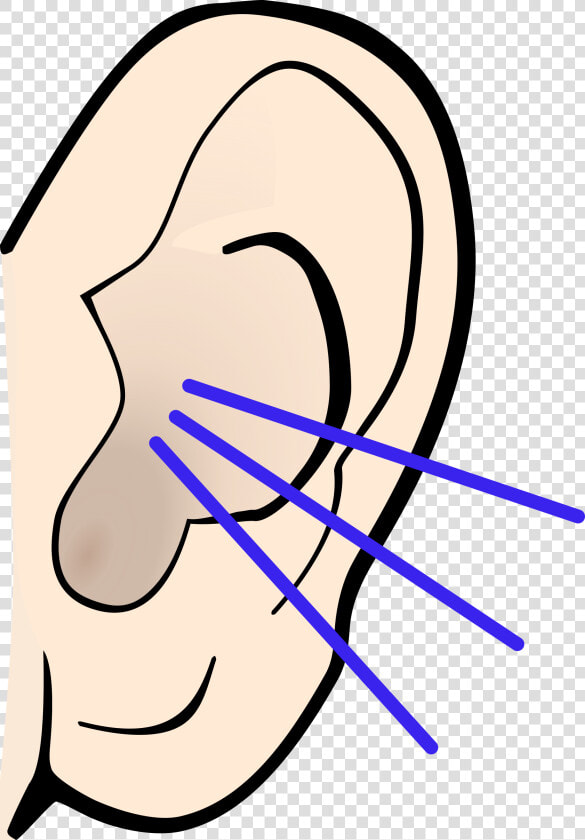 Ears Listening Transparent Images   Ear Clipart Black And White  HD Png DownloadTransparent PNG