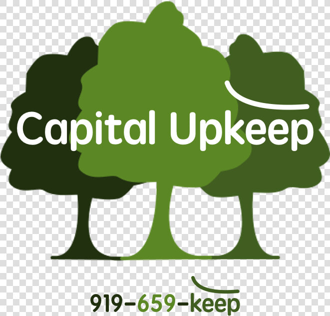 Graphic Design By Anna Lenkiewicz For Capital Upkeep  HD Png DownloadTransparent PNG