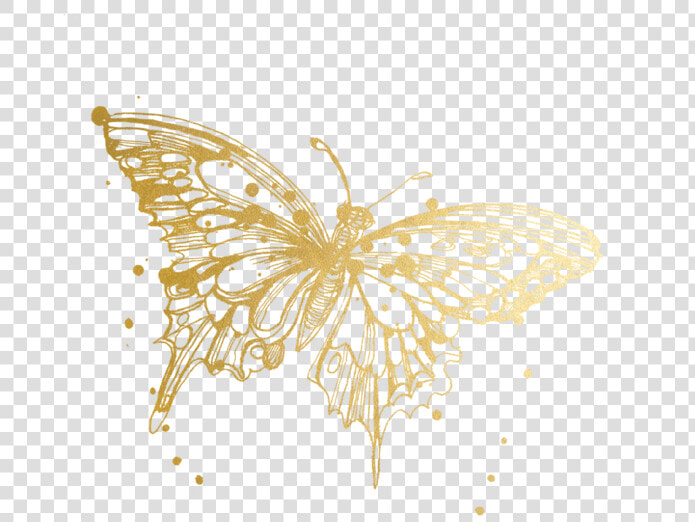 Butterfly Tattoos Temporary Accept Watercolor Tattly   Monarch Butterfly Tattoo Drawing  HD Png DownloadTransparent PNG