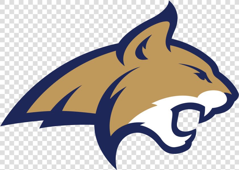 Msu Bobcat Logo  Hd Png Download   Montana State Bobcats Logo  Transparent PngTransparent PNG