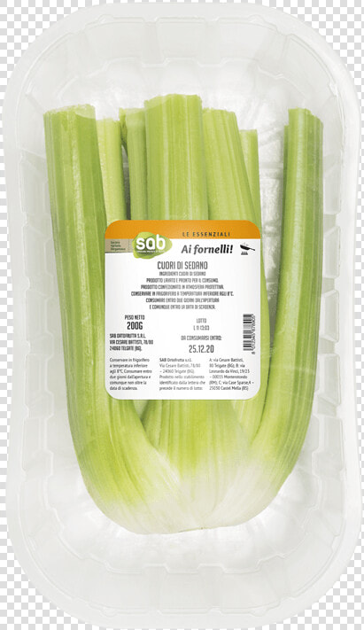 Leek  HD Png DownloadTransparent PNG