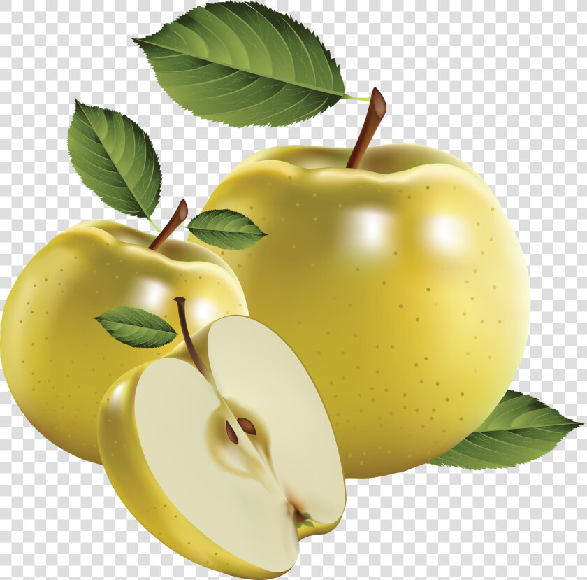 Green Apple S Png Image   Realistic Fruit Vector  Transparent PngTransparent PNG