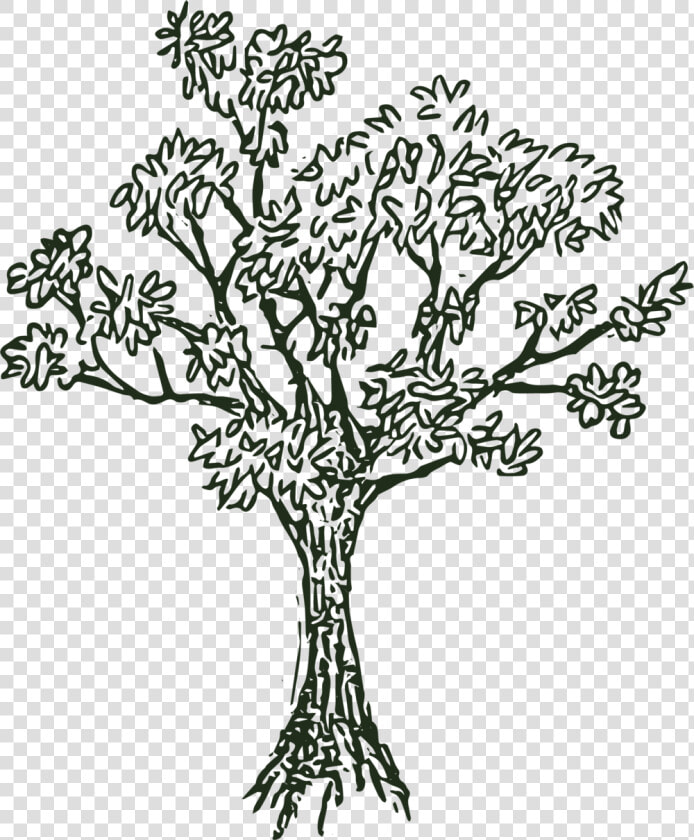 Hill Tree Png Black And White   Lost Hill Lake Events  Transparent PngTransparent PNG