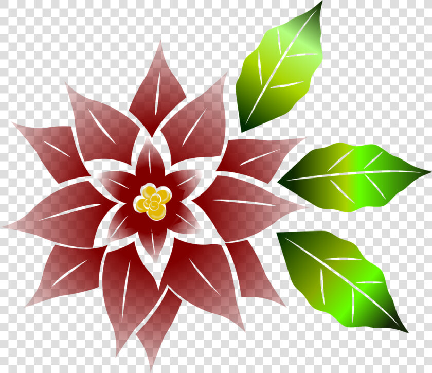 Flor De Noche Buena Png  Transparent PngTransparent PNG