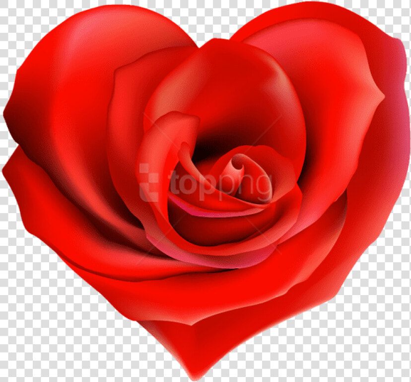 Heart Decorations  Heart Images  Heart Pictures  Hearts   Transparent Hearts And Roses  HD Png DownloadTransparent PNG