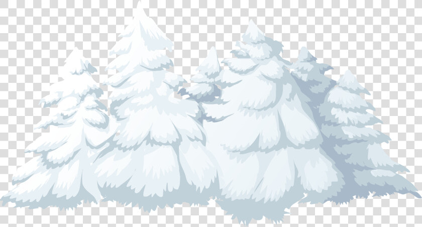 Fir pine Family tree   Snowy Pine Tree Clip Art  HD Png DownloadTransparent PNG